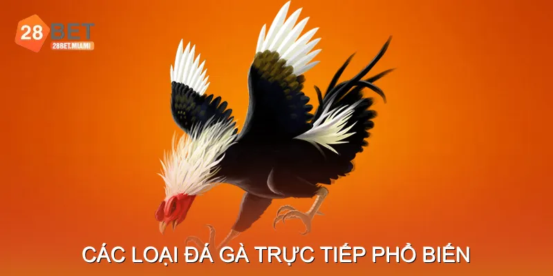 Các loại đá gà trực tiếp phổ biến
