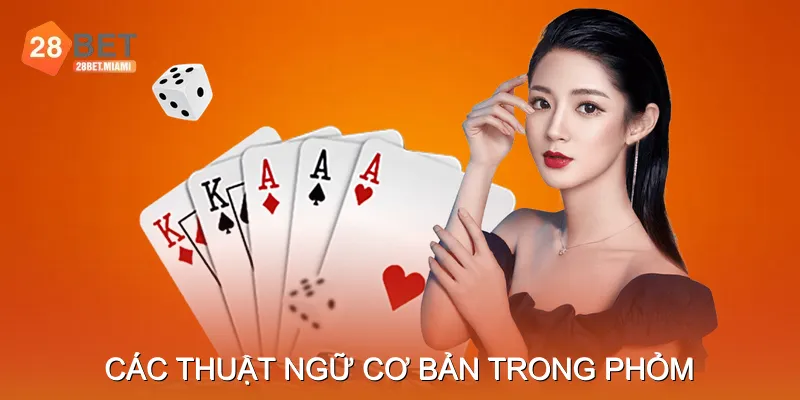 Các thuật ngữ cơ bản trong phỏm