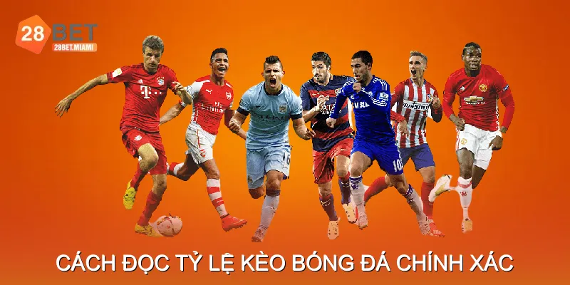 Cách đọc tỷ lệ kèo bóng đá chính xác