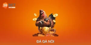 Hướng Dẫn Nuôi & Chăm Sóc Gà Nòi