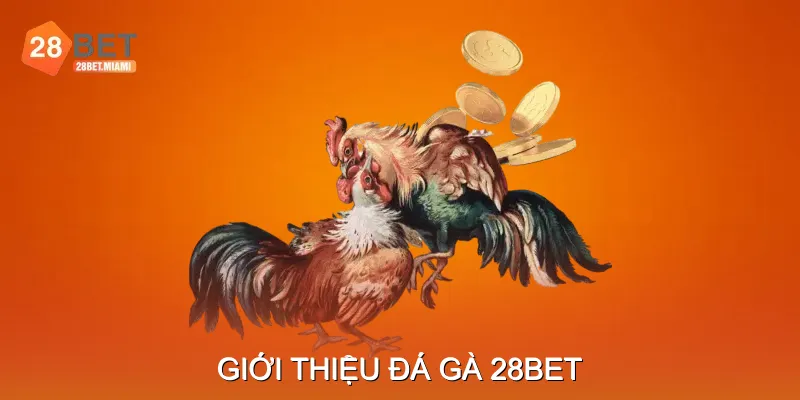 Giới Thiệu Đá Gà 28BET