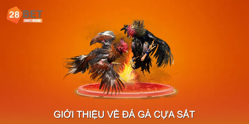 Giới Thiệu Về Đá Gà Cựa Sắt