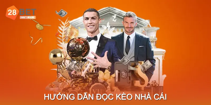 Hướng Dẫn Đọc Kèo Nhà Cái Cho Người Mới