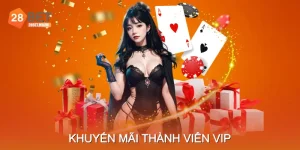 Khuyến Mãi Thành Viên VIP: Thêm Đặc Quyền, Thêm Lợi Ích